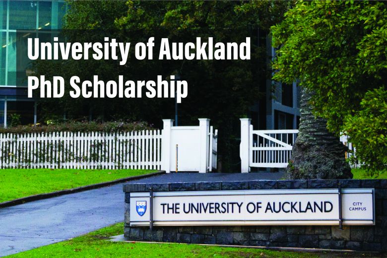 University of Auckland Marsden Grant PhD Scholarship in the Theory of Inverse Limits of Set-valued Functions