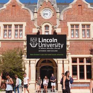 جامعة لينكولن