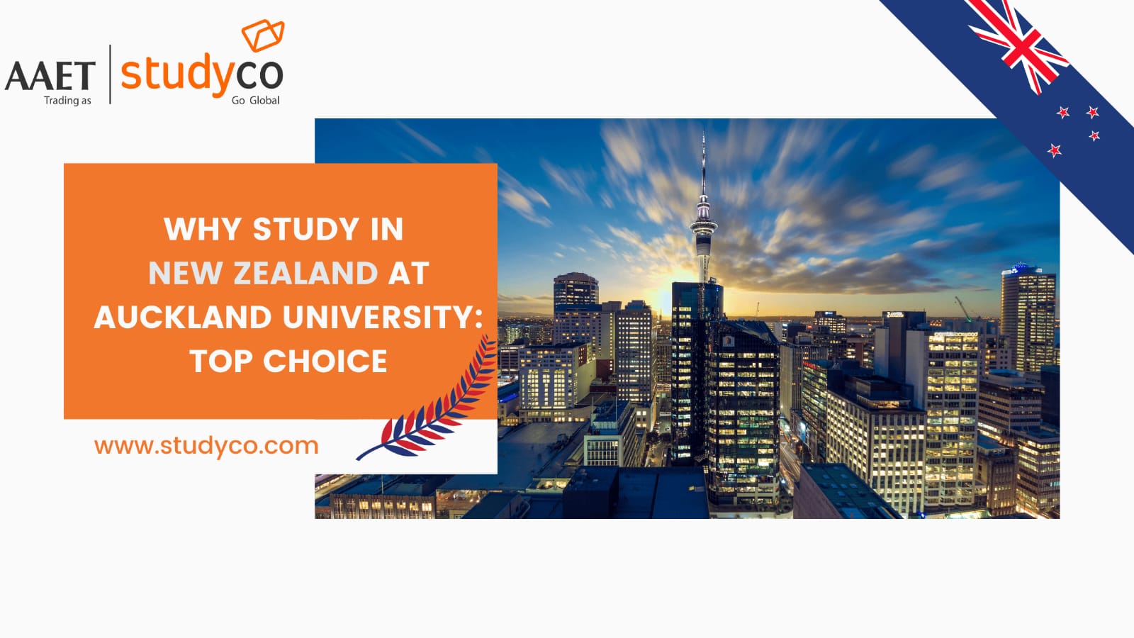 Why Study in New Zealand at Auckland University: Top Choice